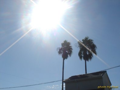20090920駅.jpg