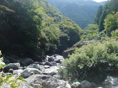 20090921川5.jpg