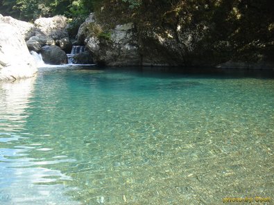 20090921川7.jpg