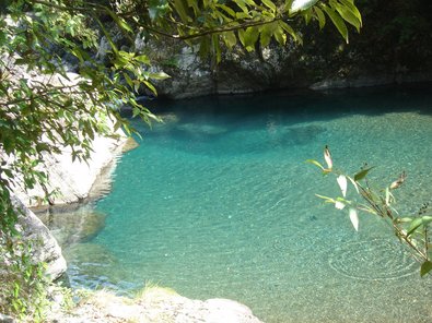 20090921川3.jpg