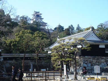 20100104高知城.jpg