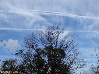 20100121空.jpg