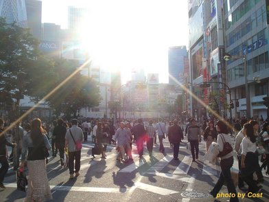 20100516shinjyuku-st.jpg