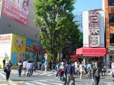20100516shinjyuku.jpg