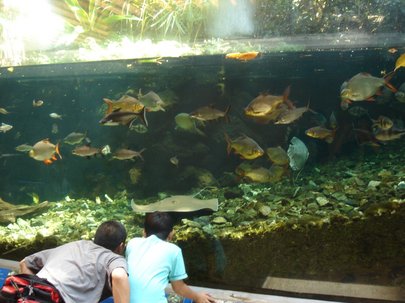 20100918itabashi.jpg