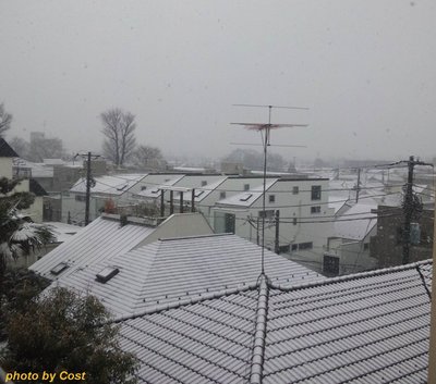 20110211yuki2.jpg