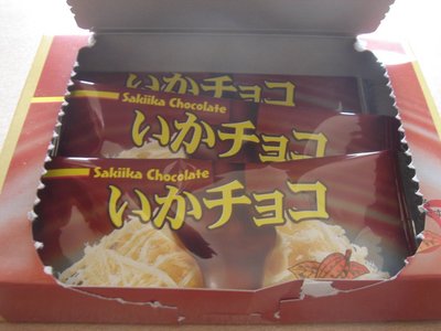20110212ikachoko2.jpg