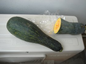かぼちゃきゅうり1.jpg