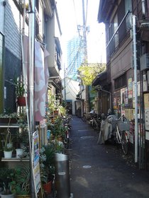 けやき橋路地裏.jpg