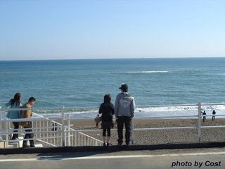 渥美半島 恋路ヶ浜E.jpg