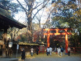河合神社5.jpg