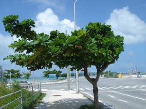 海中道路入口2加工.jpg