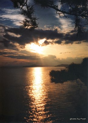 桂浜2B.jpg