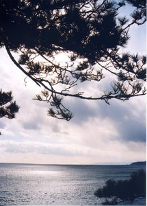 桂浜3a.jpg