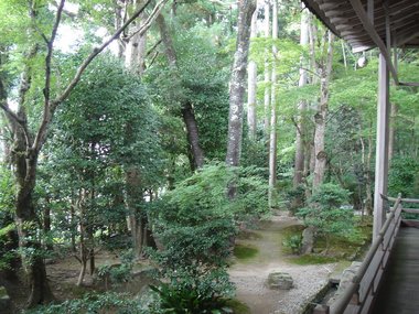 三千院往生極楽院.jpg