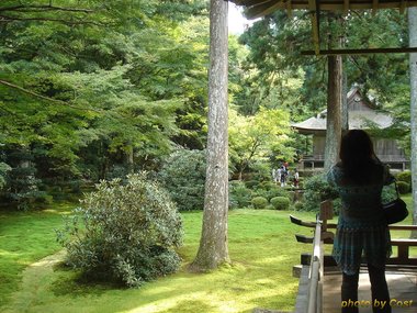 三千院往生極楽院3.jpg