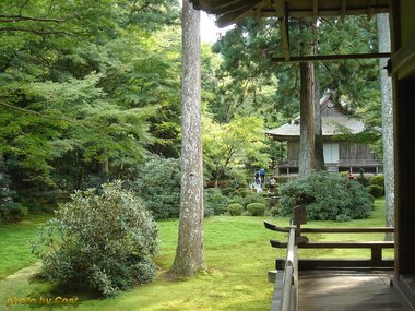 三千院往生極楽院4.jpg