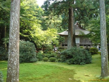 三千院往生極楽院5.jpg