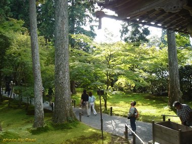 三千院往生極楽院6.jpg