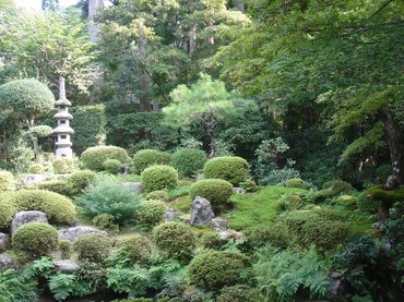 三千院中庭2.jpg