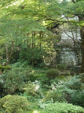 三千院中庭3.jpg