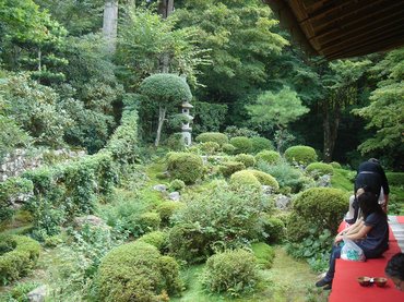 三千院中庭4.jpg