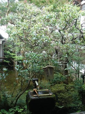 三千院中庭5.jpg