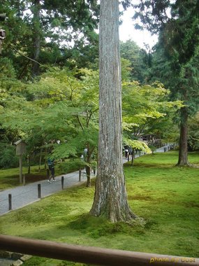 三千院庭1bb.jpg