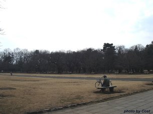 小金井公園B.jpg