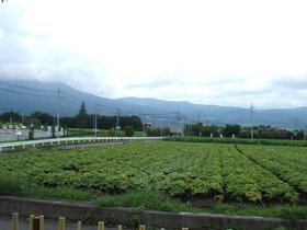 昭和村道の駅.jpg