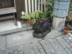 石畳うさぎ.jpg