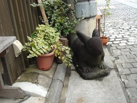 石畳うさぎ2.jpg