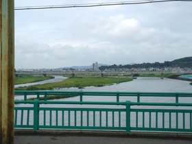 足利市、渡良瀬川5.jpg
