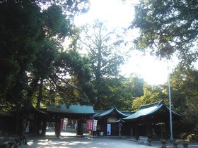 大宮八幡宮7.jpg
