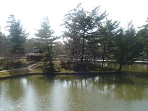 東大寺 鏡池.jpg