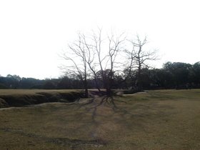 奈良公園追加.jpg