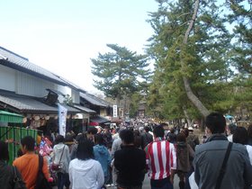 奈良大仏殿参道.jpg