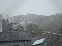 二条城の前,.jpg