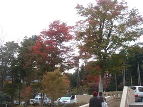 箱根1.jpg