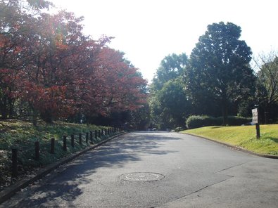 北の丸公園.jpg