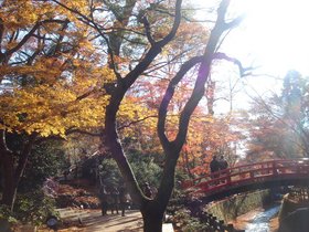 北野天満宮もみじ苑1.jpg