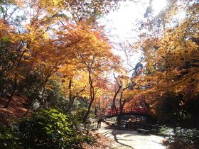 北野天満宮もみじ苑2.jpg