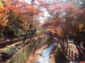 北野天満宮もみじ苑3.jpg