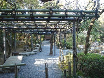 妙心寺退蔵院10b.jpg