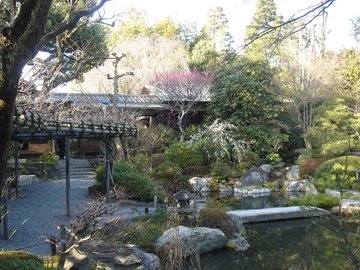 妙心寺退蔵院12b.jpg