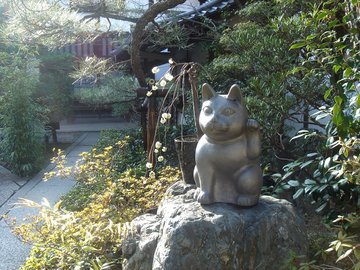 妙心寺退蔵院22.jpg