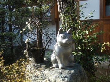 妙心寺退蔵院23.jpg
