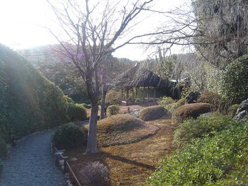 妙心寺退蔵院2B.jpg