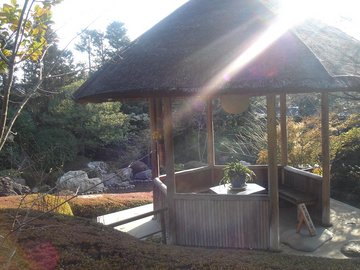 妙心寺退蔵院5B.jpg
