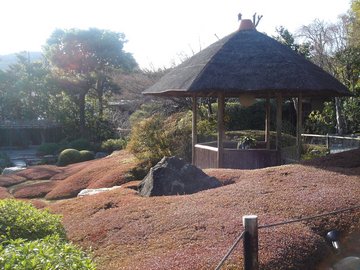 妙心寺退蔵院4B.jpg